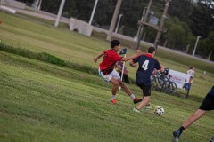 DSC4635-2