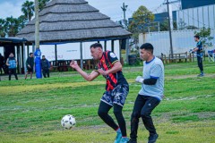 DSC0021-2
