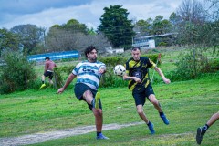 DSC0044-2