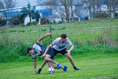 DSC0054-2