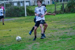 DSC0058-2