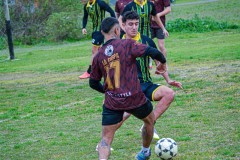 DSC0062-2