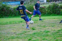 DSC0124-2