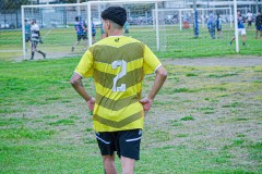 DSC0141-2