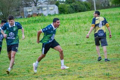 DSC0170-2