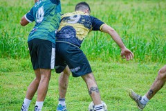 DSC0175-2