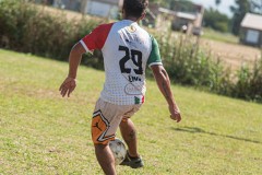 DSC0728-2