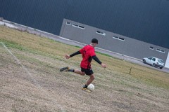DSC1782-2